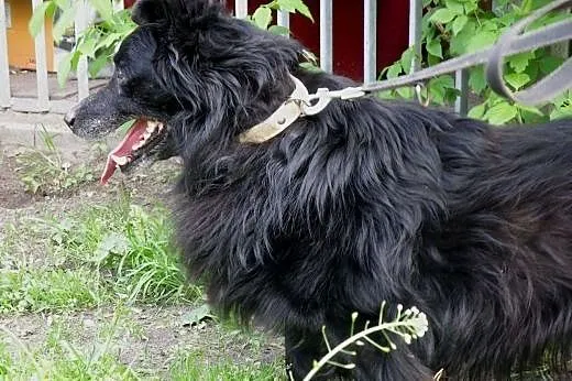 Tobi czy będzie jeszcze szczęśliwy  ,  mazowieckie