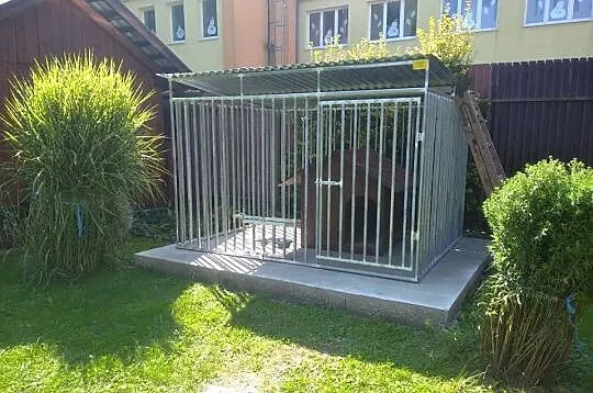 Kojec dla Psa , KOJCE dla Psów ,Klatka , Box   - ESSTAL, Małopolskie, Bochnia