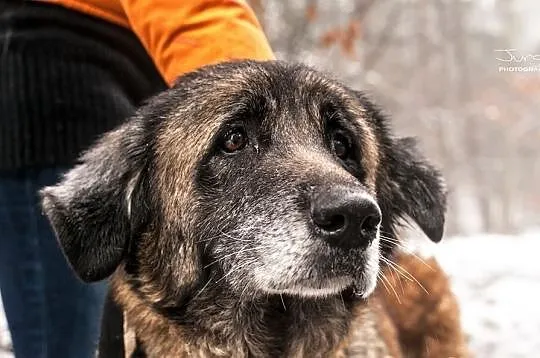 RIKA - straciła wszystko, teraz błaga o dom