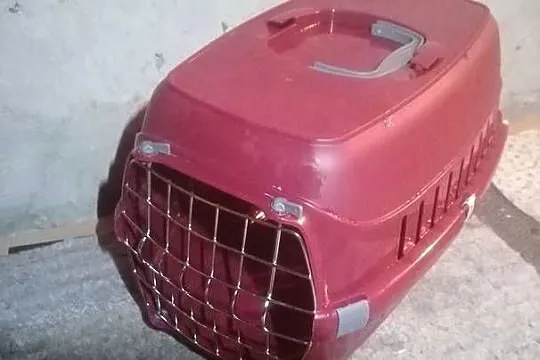 Klatka do transportu zwierzęta