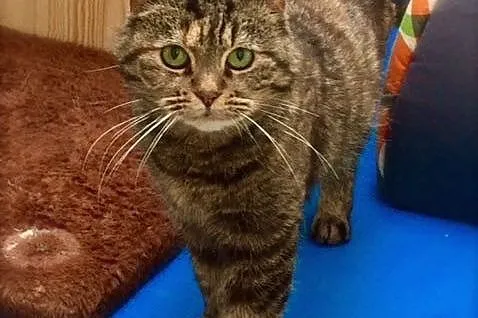 Luka