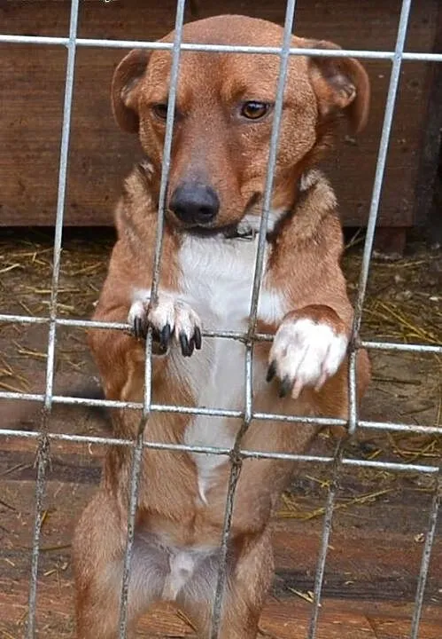 Kiedyś wierzyłem, że coś znaczę. Dziś nie wierzę j