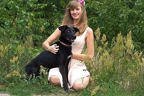 Uratowany Bary szuka nowego domu,  Kundelki cała P