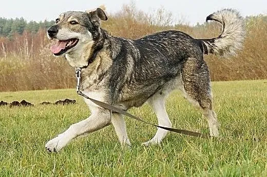 Mika, przesympatyczna dziewczyna,  pomorskie Gdańs