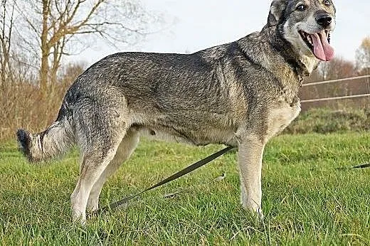 Mika, przesympatyczna dziewczyna,  pomorskie Gdańs