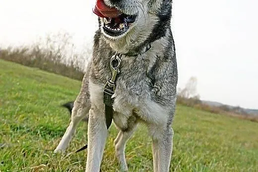 Mika, przesympatyczna dziewczyna,  pomorskie Gdańs