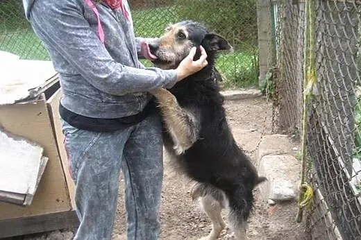 Jedyne co miał to łańcuch, teraz czeka na DOM!,  ł