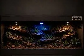 Terrarium dla agamy brodatej żółwia greckiego gekona lamparciego