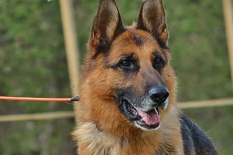 TORIN - doceni każdą chwilę spędzoną z Tobą :),  m
