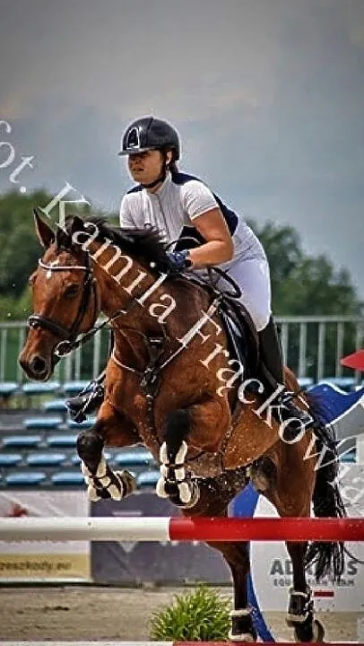 QUICKY klacz do skoków, ,