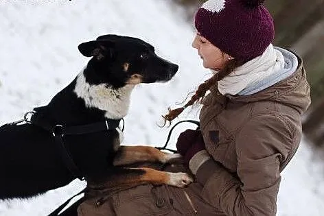Haker - spokojny, kochany psiak szuka domu. Uratuj