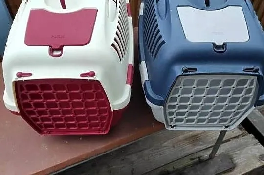 transportery dla kotów 2 szt