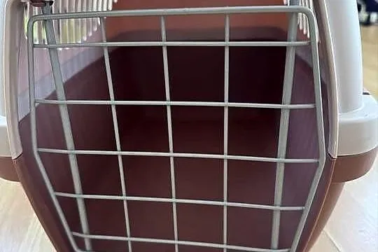Transporter dla zwierząt MAŁO UŻYWANY, Wielkopolskie, Leszno