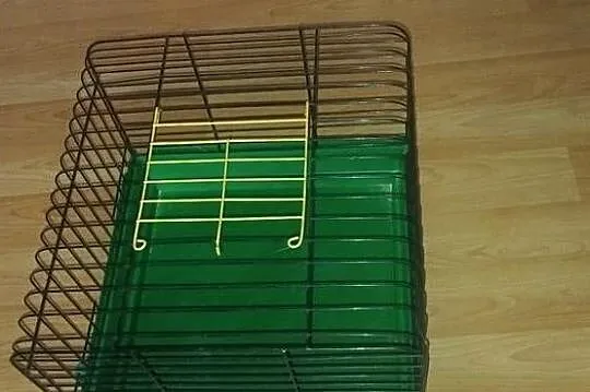 Klatka dla królika