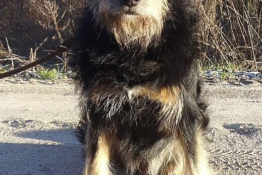 Alik czy ktoś mnie jeszcze pokocha