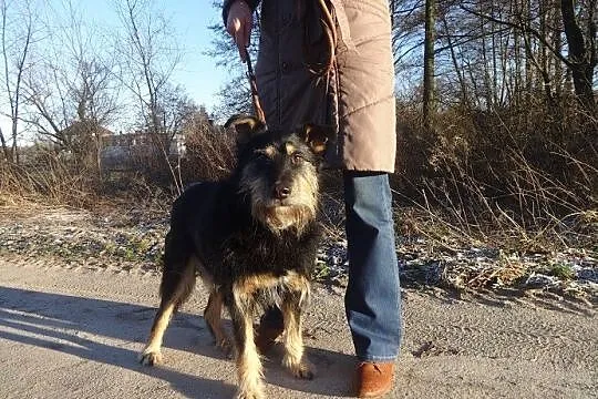 Alik czy ktoś mnie jeszcze pokocha