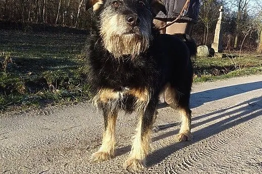 Alik czy ktoś mnie jeszcze pokocha
