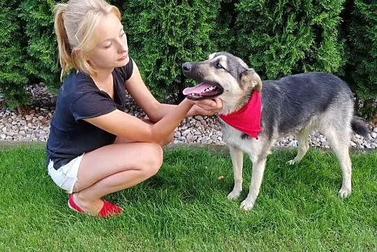 Wesoły, energiczny, kocha dzieci i zabawę - Mentos