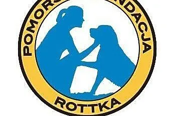 Piękny Tajson czeka na kochający dom...,  pomorski