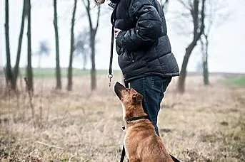 Niezwykły Ciastek dla niezwykłego człowieka