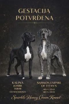 Dog niemiecki piękne zarejestrowane szczenięta na sprzedaż, Mazowieckie, Warszawa