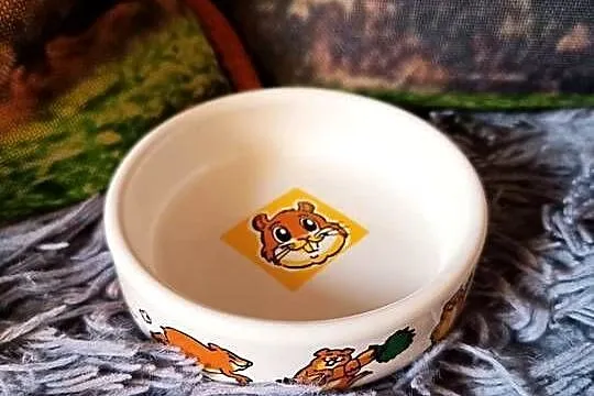 Trixie Miska Ceramiczna Dla Chomika Gryzoni Kolorowa 80 ml