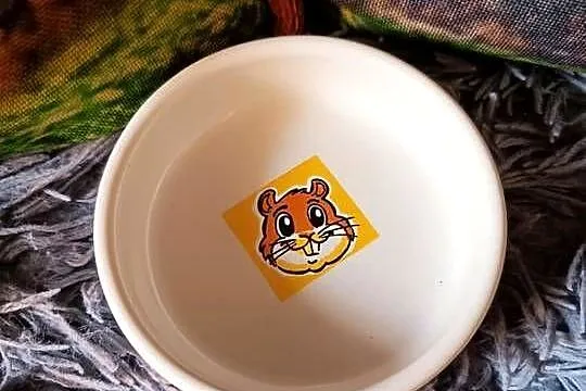 Trixie Miska Ceramiczna Dla Chomika Gryzoni Kolorowa 80 ml, Podlaskie, Suwałki