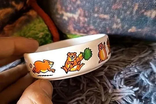 Trixie Miska Ceramiczna Dla Chomika Gryzoni Kolorowa 80 ml, Podlaskie, Suwałki