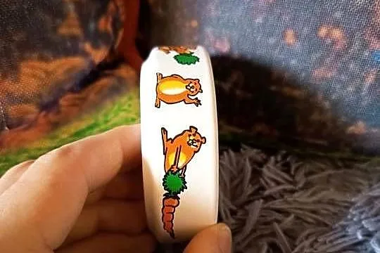 Trixie Miska Ceramiczna Dla Chomika Gryzoni Kolorowa 80 ml, Podlaskie, Suwałki
