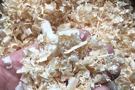 Ściółka dla koni, zwierząt, trociny, wióry odpylone, paleta 21 opk./ 420kg, Podlaskie, Białystok