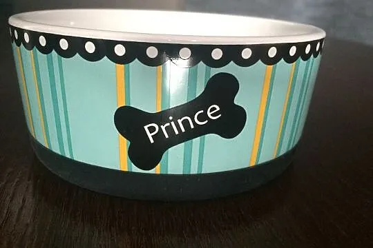 Miska ceramiczna Prince, Natolin