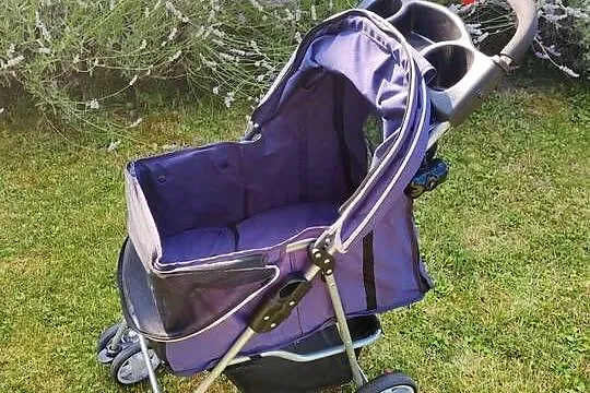 Wózek, transporter dla psa/ kota, Wielkopolskie, Poznań