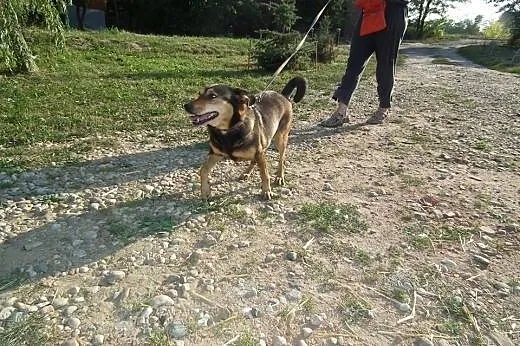 Wspaniała PARÓWKA marzy, by ktoś ją pokochał... , 