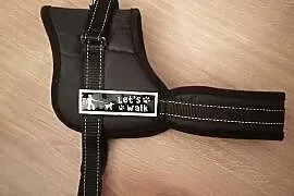 Szelki dla psa
