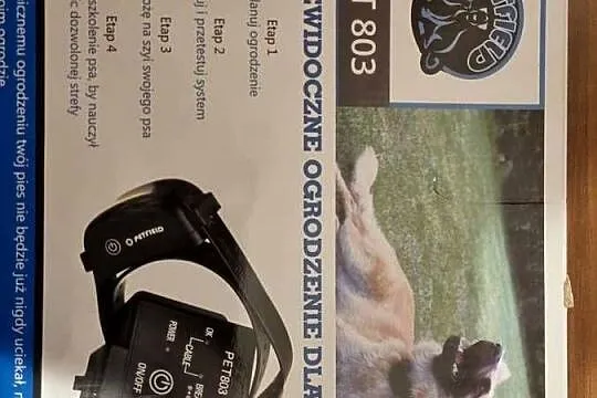 Niewidoczne ogrodzenie, pastuch PET-803, Mazowieckie, Ostrołęka