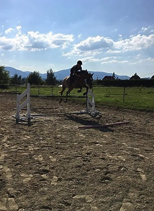 Klacz Jagoda, ,