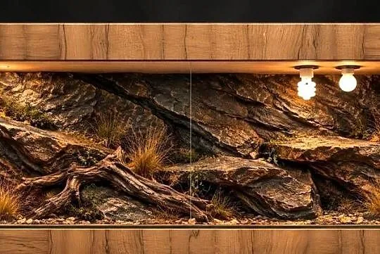 Terrarium pustynne dla żółwia greckiego gekona lamparciego