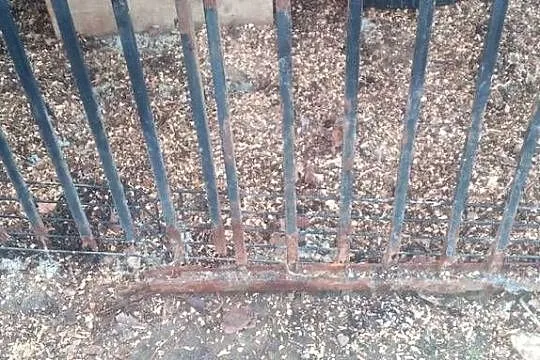Kojec  dla psa i buda, Małopolskie, Brzesko