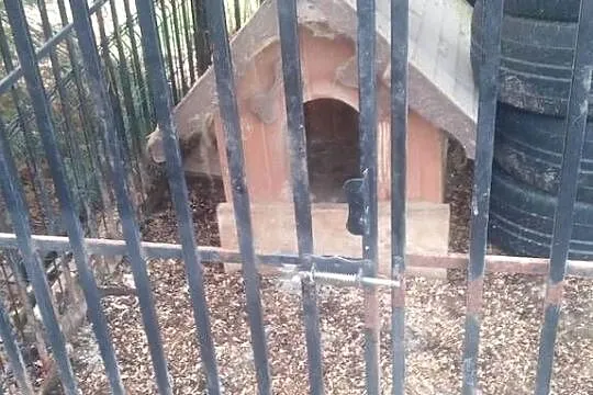 Kojec  dla psa i buda, Małopolskie, Brzesko