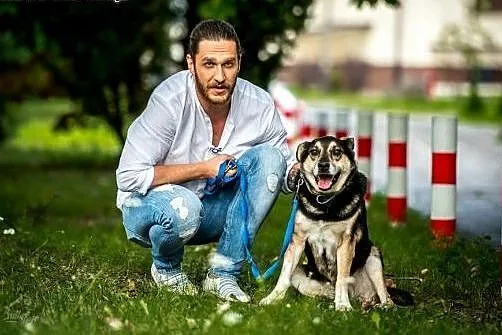 BERCIK - idealny pies od zaraz do wzięcia jest!,  