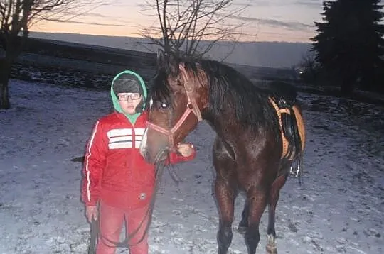Piękny ,,Arabek,,