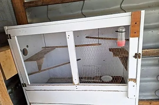 Klatka na  papugi