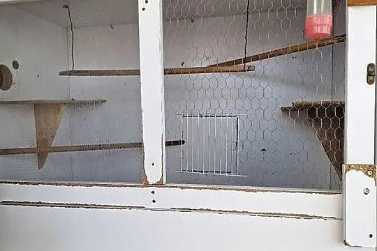 Klatka na  papugi, Wielkopolskie, Dzierzbin