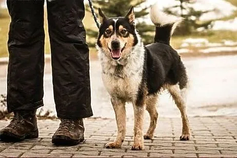 Edi - żywe sreberko :),  warmińsko-mazurskie Olszt
