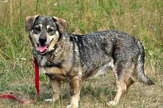 Lalo - wyrzucony na mróz...