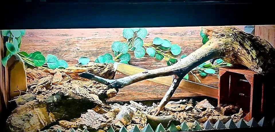 Składane terrarium, Aqua, , Luca, , 121 x 41 x55 cm, Śląskie, Katowice