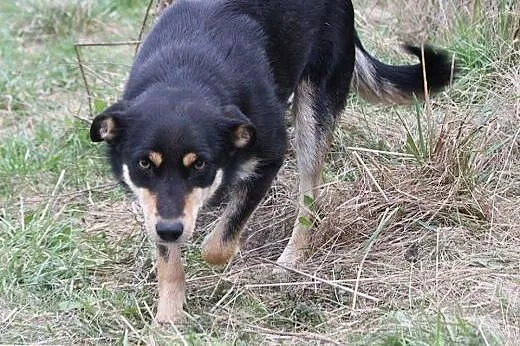 Freja-daj jej szanse a nie zawiedziesz sie,  podla