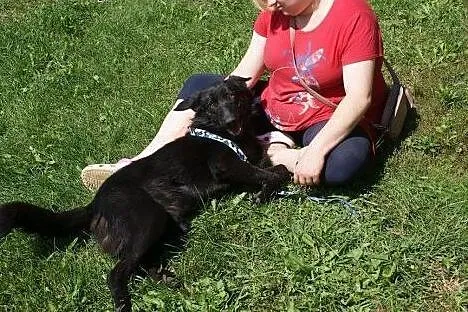 Fido - chcę pokochać jeszcze raz...,  Kundelki cała Polska