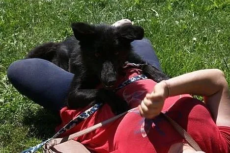 Fido - chcę pokochać jeszcze raz...,  Kundelki cał
