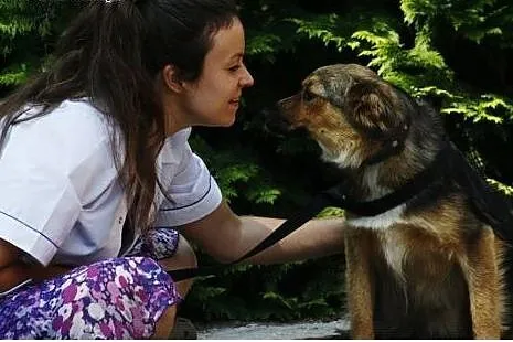Sówka - 4 letnia spokojna suczka szuka domu!,  maz